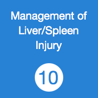 TR10 Liver Spleen